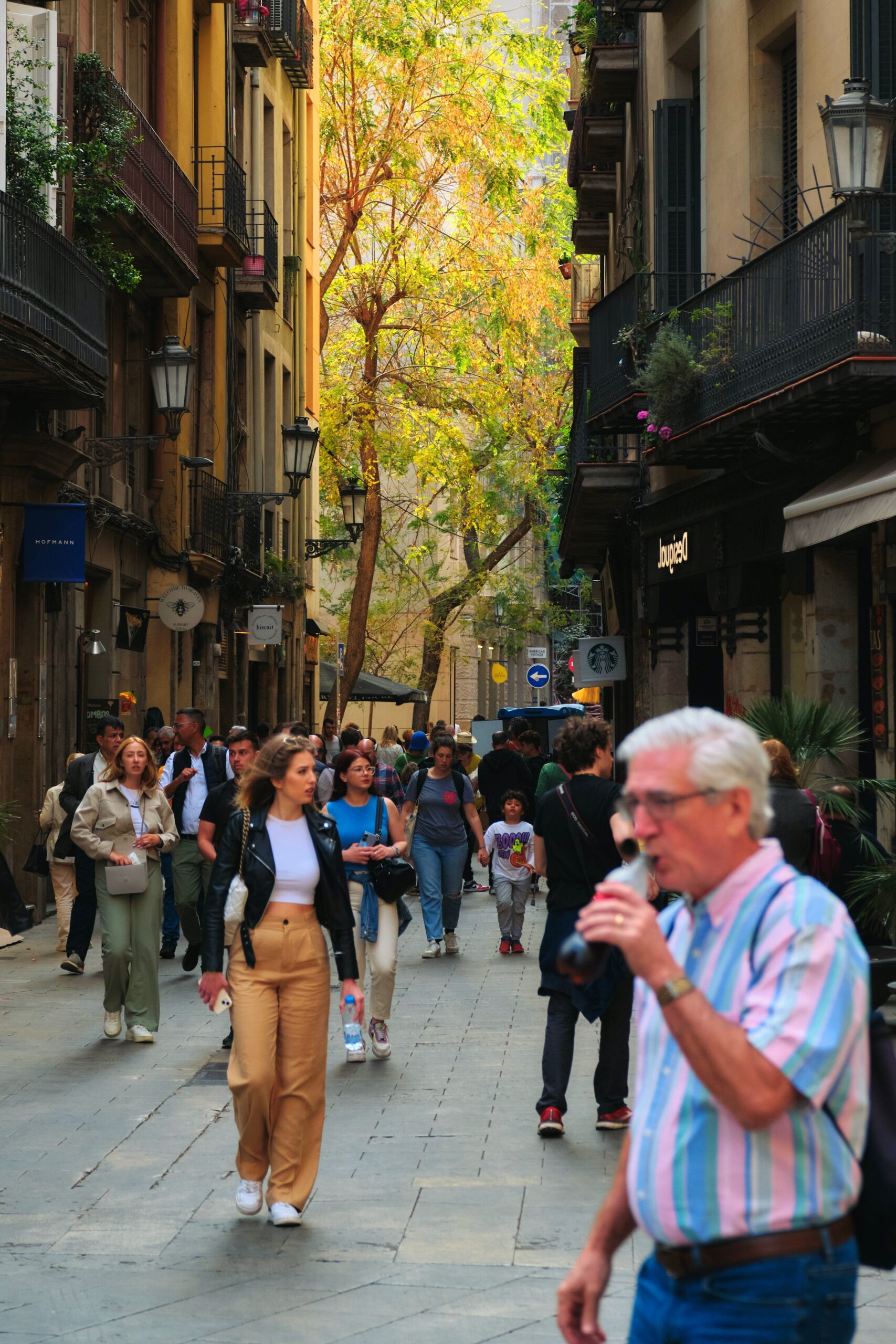 Urban development criteria in the new green axis of Pere IV Street